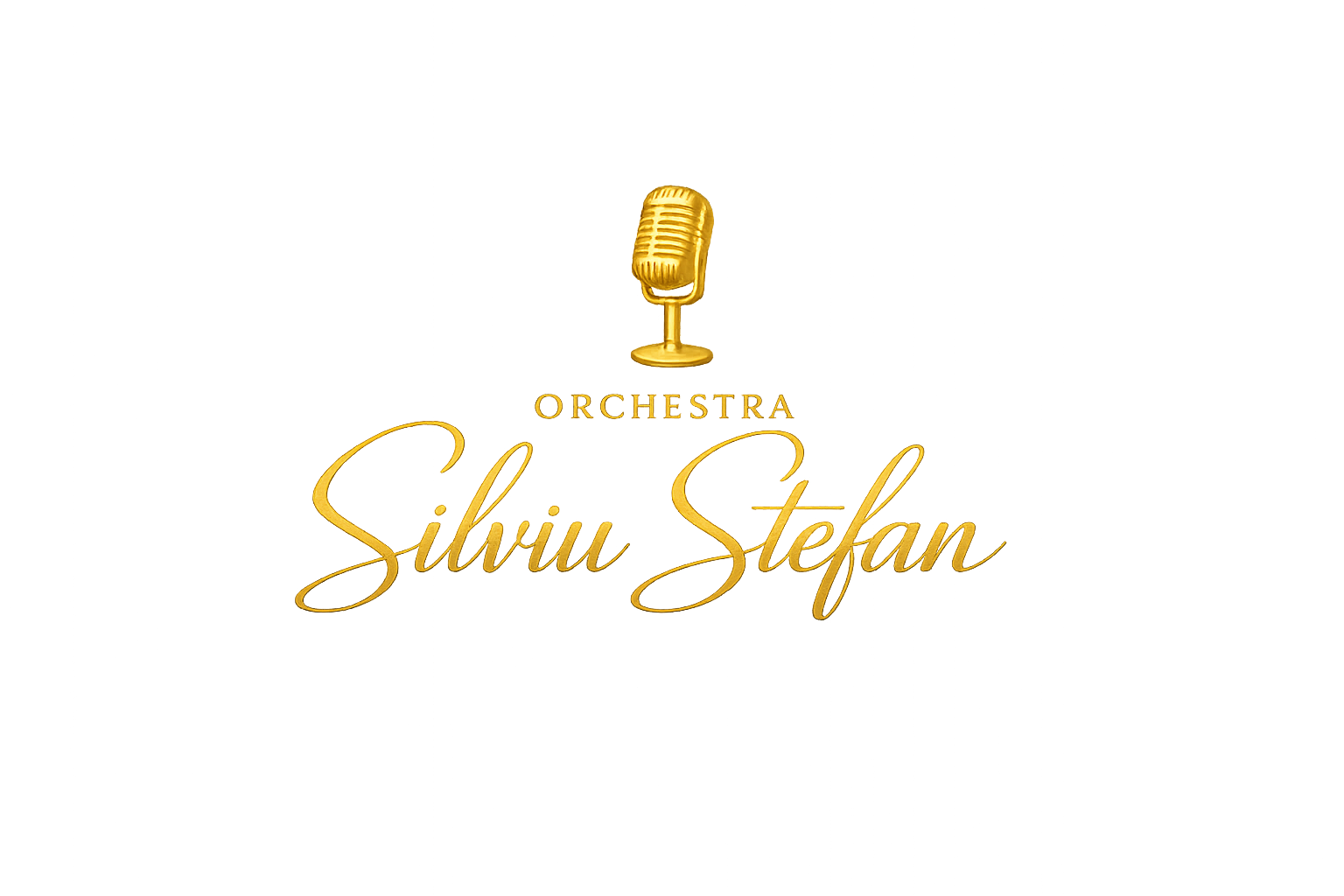 Orchestra Silviu Stefan